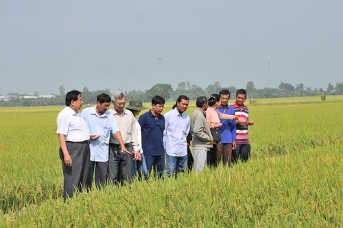 An Giang tập trung phát huy thế mạnh và tiềm năng ngành nông nghiệp