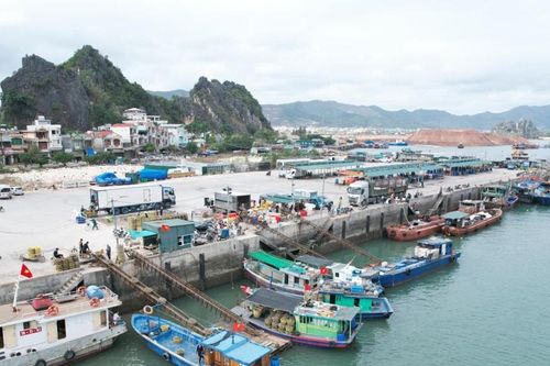 Quảng Ninh: Mở cảng cá Cái Rồng tại đặc khu Vân Đồn