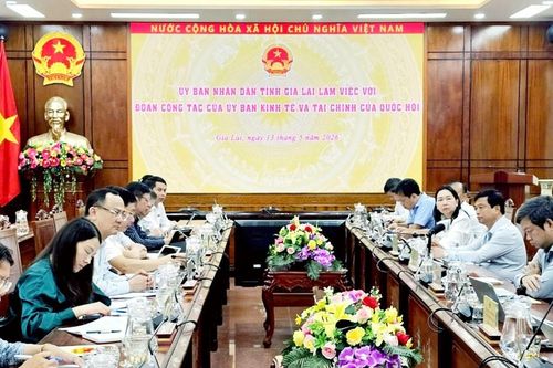 Đoàn giám sát của Ủy ban Kinh tế và Tài chính làm việc với UBND tỉnh Gia Lai