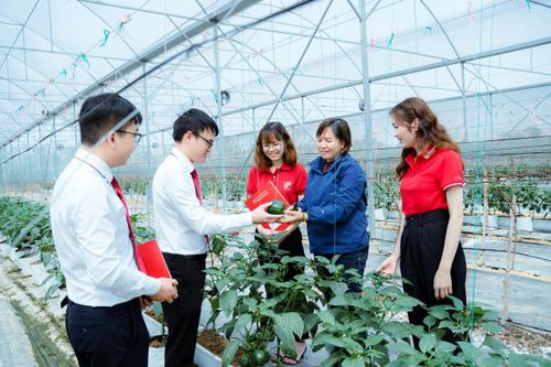 Bài toán hỗ trợ doanh nghiệp nhỏ và vừa không chỉ nằm ở lãi suất