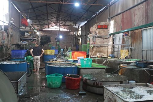 Phường Hoàng Mai đề xuất tháo gỡ 'điểm nghẽn' chợ cá Yên Sở