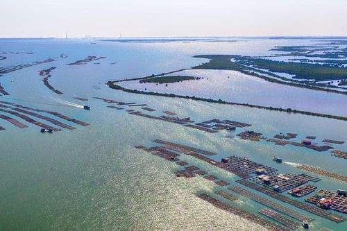 Phê duyệt quy hoạch Khu kinh tế ven biển Quảng Yên (Quảng Ninh) hơn 13.300 ha