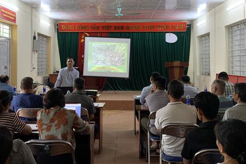 Xã Bạch Đằng Hội thảo trồng rừng, cây dược liệu có giá trị kinh tế cao dưới tán rừng cho hơn 200 hộ dân