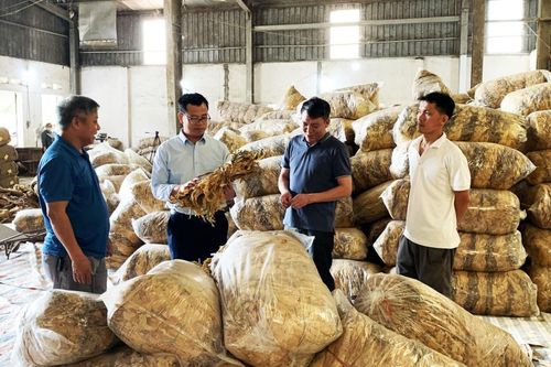 Đảm bảo hài hòa lợi ích các bên trong sản xuất, tiêu thụ thuốc lá
