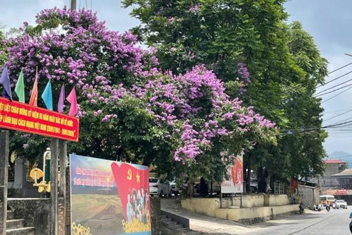 Thời tiết các khu vực trong tỉnh ngày 14/5 đêm không mưa, ngày trời nắng