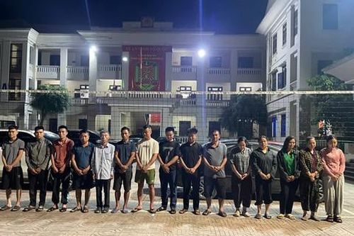 Phá sới xóc đĩa trong rừng
