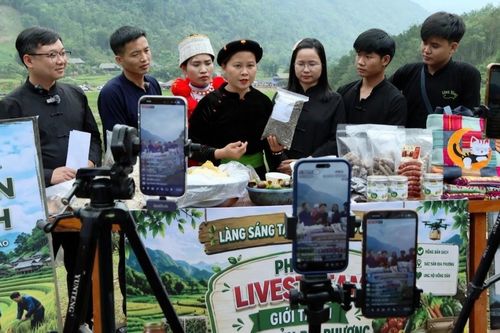 Tuyên Quang 'đánh thức' kinh tế số vùng cao: Đưa chuyển đối số thành động lực tăng trưởng mới