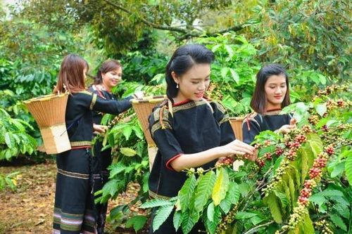 Thúc đẩy nông thôn mới, giảm nghèo bền vững và phát triển vùng đồng bào dân tộc thiểu số