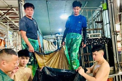 Phường Hoàng Mai đề xuất tháo gỡ điểm nghẽn chợ cá tự phát Yên Sở