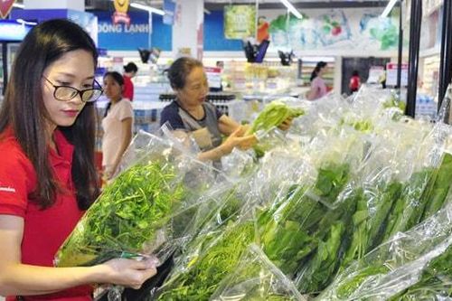 Bắt nhịp tiêu dùng xanh, hàng Việt tăng cơ hội xuất khẩu