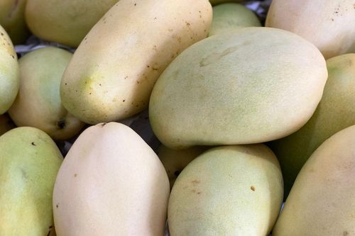Nhiều loại xoài Việt vào mùa, xếp đống bán đầy thị trường giá chỉ hơn chục nghìn đồng/kg