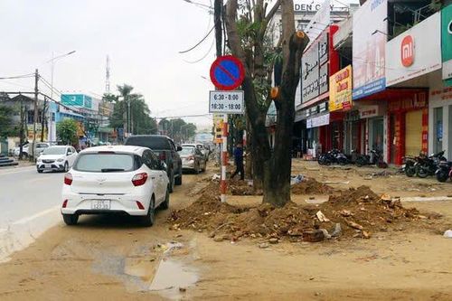Đề nghị truy tố vắng mặt đối Chủ tịch ty cây xanh Công Minh