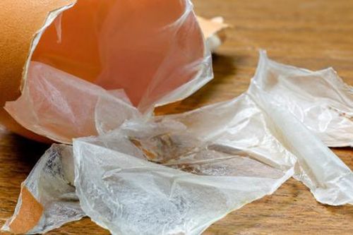 Màng vỏ trứng - phần bị bỏ đi nhưng lại rất tốt cho khớp
