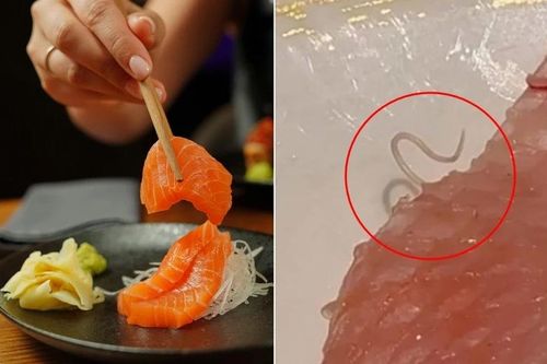 Sinh vật lạ bò ra từ miếng sashimi ở nhà hàng Hong Kong, thực khách hoảng hốt