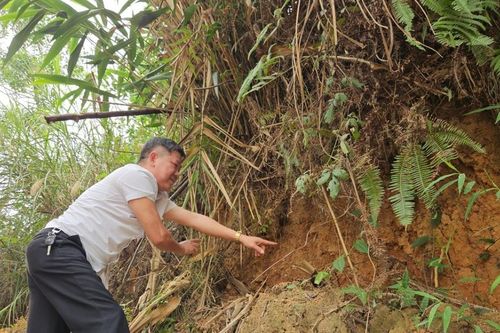 Ninh Bình: Sạt lở nghiêm trọng tại điểm trường Quảng Mào