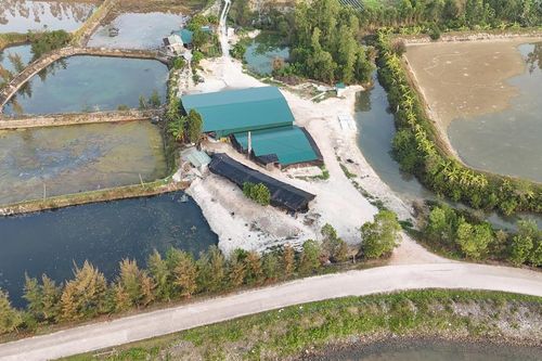Chuẩn hóa ngành chế biến thủy sản Quảng Ninh - Bài 1: Giải bài toán hàng trăm cơ sở chưa đạt chuẩn