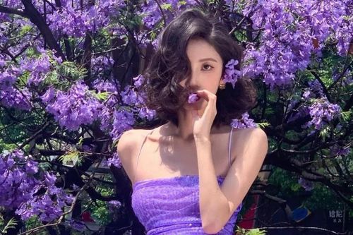 Côn Minh 'đau đầu' vì mùa phượng tím