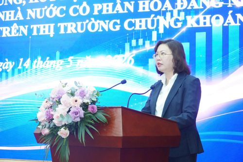 Gỡ khó cho doanh nghiệp Nhà nước chưa đủ chuẩn công ty đại chúng