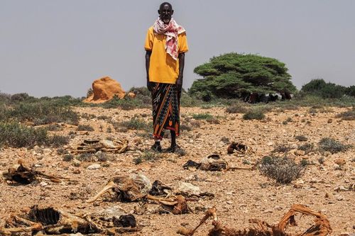 Somalia đối mặt với một đợt hạn hán nghiêm trọng