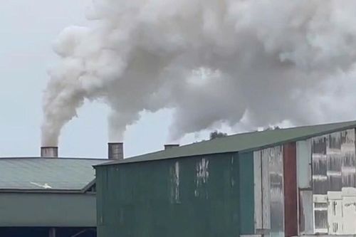 Khí thải tại Nhà máy Wood Pellets vượt quy chuẩn môi trường