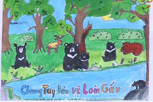 Gieo mầm ý thức bảo tồn: Học sinh Phúc Thọ vẽ tranh và trồng thảo dược kêu gọi bảo vệ loài gấu