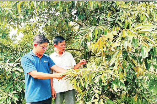 Sử dụng vật tư nông nghiệp an toàn, hiệu quả