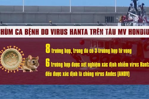 [Video] Bộ Y tế thông tin về chủng virus Hanta đang được WHO cảnh báo