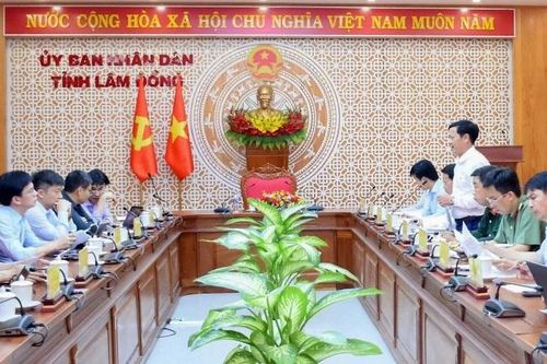 Tổng công ty Phát điện 1 đề xuất đầu tư 3 dự án điện mặt trời nổi tại Lâm Đồng