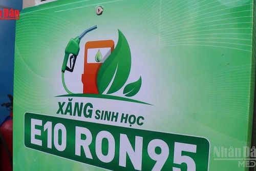 [Video] Giá xăng sinh học E10 cao nhất không quá 25.120 đồng/lít