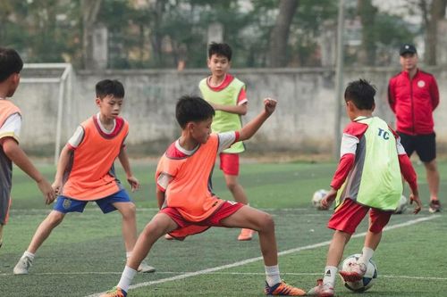 Câu lạc bộ Thể Công Viettel 'săn' hạt giống đỏ