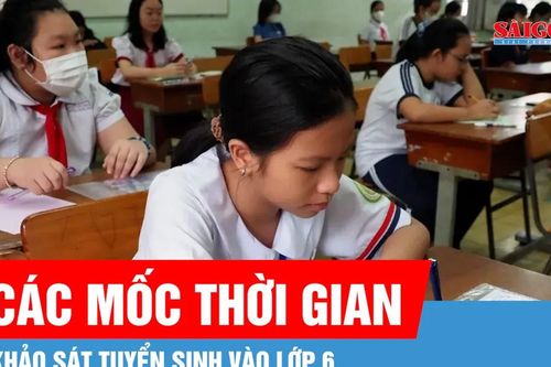 TPHCM: Thời gian và cấu trúc đề khảo sát tuyển sinh lớp 6 Trường Trần Đại Nghĩa