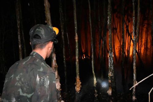An Giang khen thưởng đột xuất lực lượng tham gia chữa cháy rừng