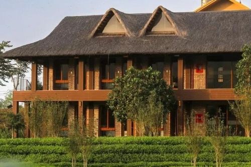 Vùng chè Tân Cương (Thái Nguyên): Gắn sản xuất nông nghiệp với phát triển du lịch cộng đồng