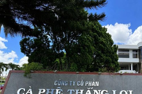 Thu hồi hơn 525ha đất liên kết trồng cà phê ở Đắk Lắk