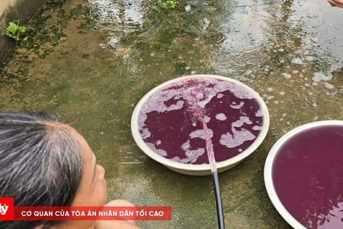 Công ty TNHH BOB Hà Nội - Chi nhánh 1 bị phạt hơn 1,5 tỷ đồng
