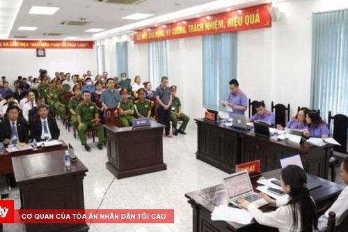 Tuyên án Đào Minh Quân và đồng phạm