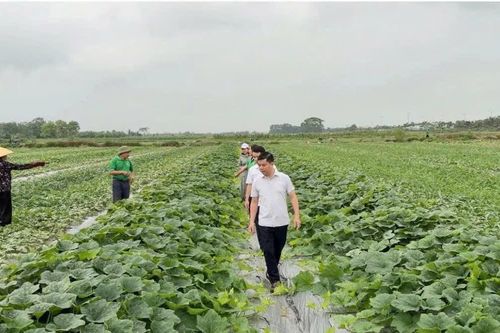 Lào Cai tăng tốc xóa lõm sóng, giảm nghèo thông tin vùng cao