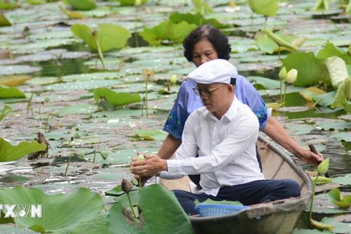 Nét văn hóa độc đáo của trà sen xứ Huế