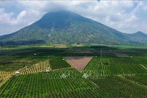 Tăng cường liên kết doanh nghiệp lữ hành, nâng tầm điểm đến