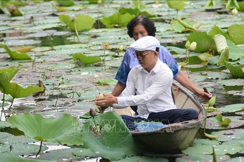 Nét văn hóa độc đáo của trà sen xứ Huế