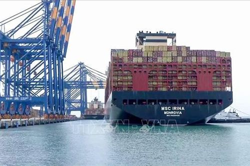 Ấn Độ: Cấm xuất khẩu đường nhằm bảo vệ nguồn cung nội địa