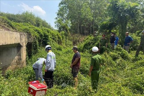 Đồng Nai phát hiện công ty chế biến mủ cao su xả thải trái phép ra môi trường