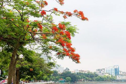Kí ức niêm thương nhớ