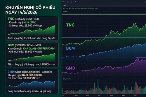 Khuyến nghị cổ phiếu ngày 14/5: TNG, BCM và GMD nên mua hay nắm giữ?