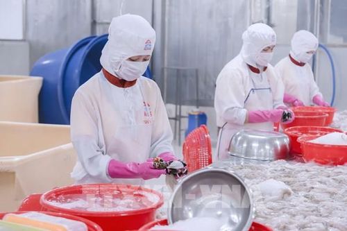 Tái cơ cấu ngành thủy sản từ 'gốc' con giống