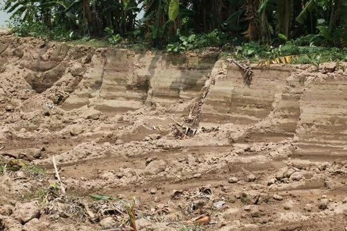 Hưng Yên: Công an xác định có dấu hiệu vi phạm trong vụ hàng ngàn mét đất nông nghiệp bị 'xẻ thịt'