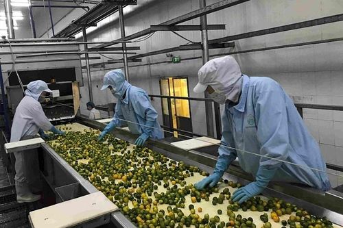 Xu hướng nguyên liệu cho thực phẩm bảo vệ sức khỏe