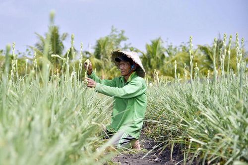Thoát nghèo nhờ vốn tín dụng chính sách