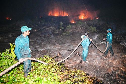Khen thưởng đột xuất nhiều tập thể, cá nhân xuất sắc trong chữa cháy rừng tại xã Cô Tô