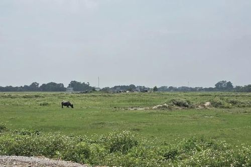 Bắc Ninh: Dự án Khu công nghiệp Phúc Sơn chậm tiến độ sau khởi công, vì sao?